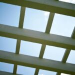 Why Your Garden Needs a Wooden Trellis Structure (And How to Build One That Lasts)