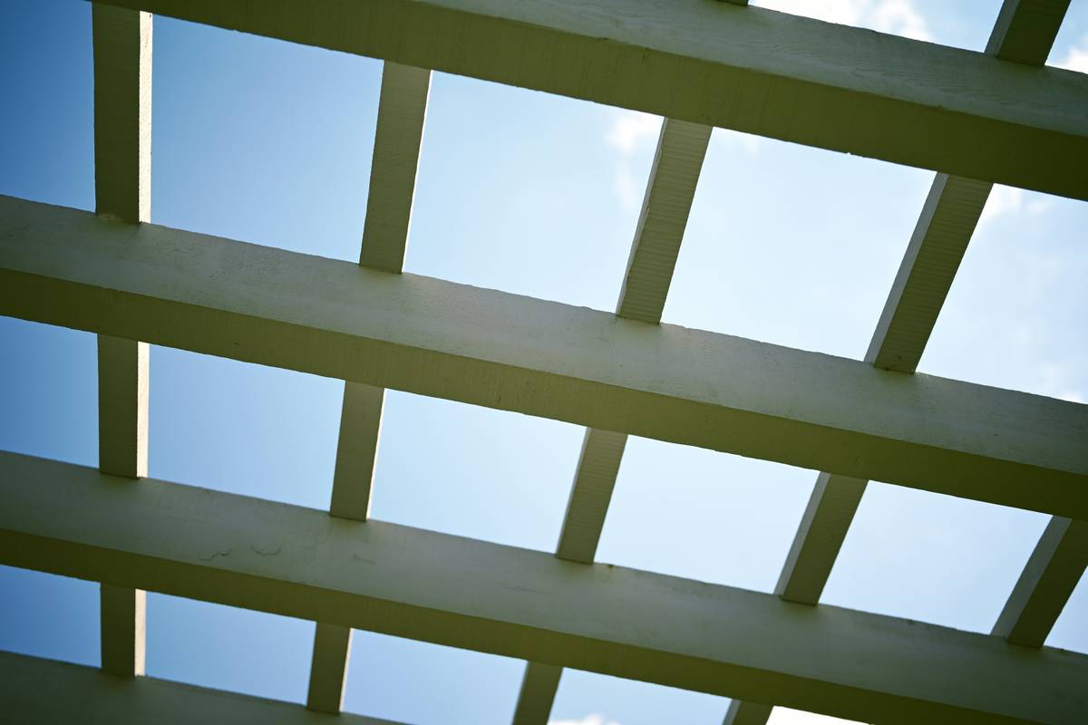Why Your Garden Needs a Wooden Trellis Structure (And How to Build One That Lasts)